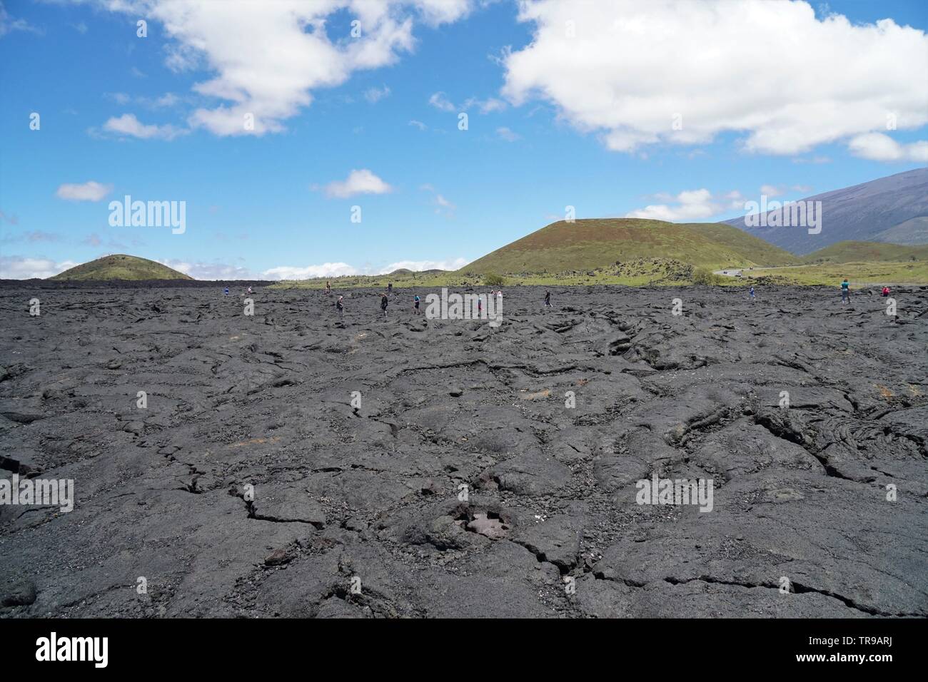 Amazing lava Felder zwischen Mauna Kea und Mauna Loa Vulkane auf der grossen Insel von Hawaii, ohne Leben außer einigen seltenen Fällen Stockfoto