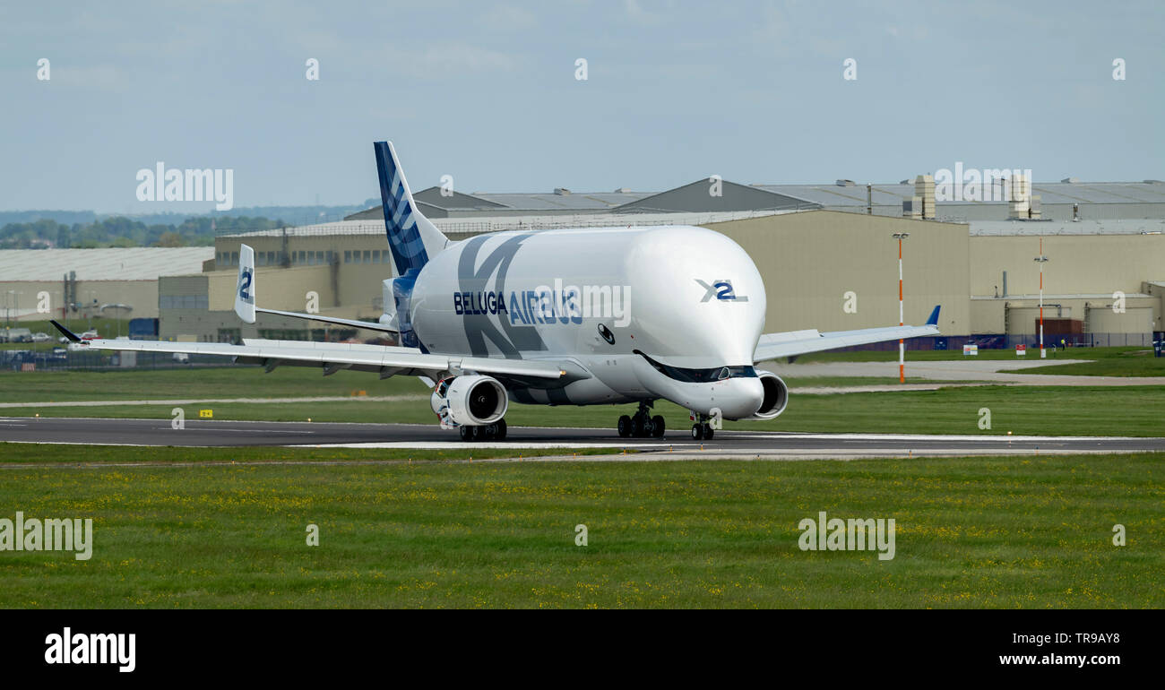 Airbus A 330-743 L Beluga XL2, F-Wbxs unten Start- und Landebahn nach der Landung am Flughafen Hawarden Stockfoto