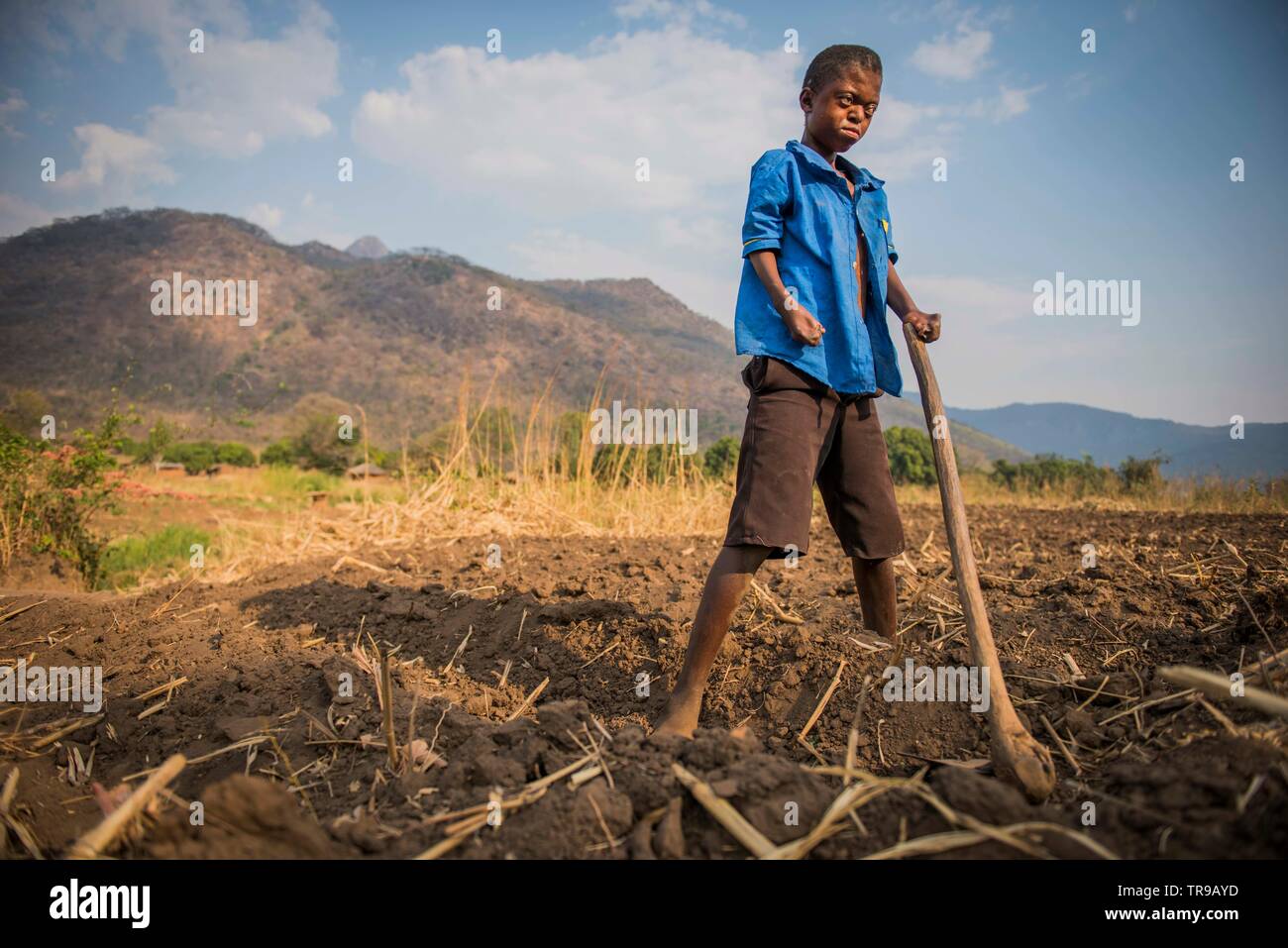 Eine Kinderfarm im ländlichen Sambia, Afrika Stockfoto