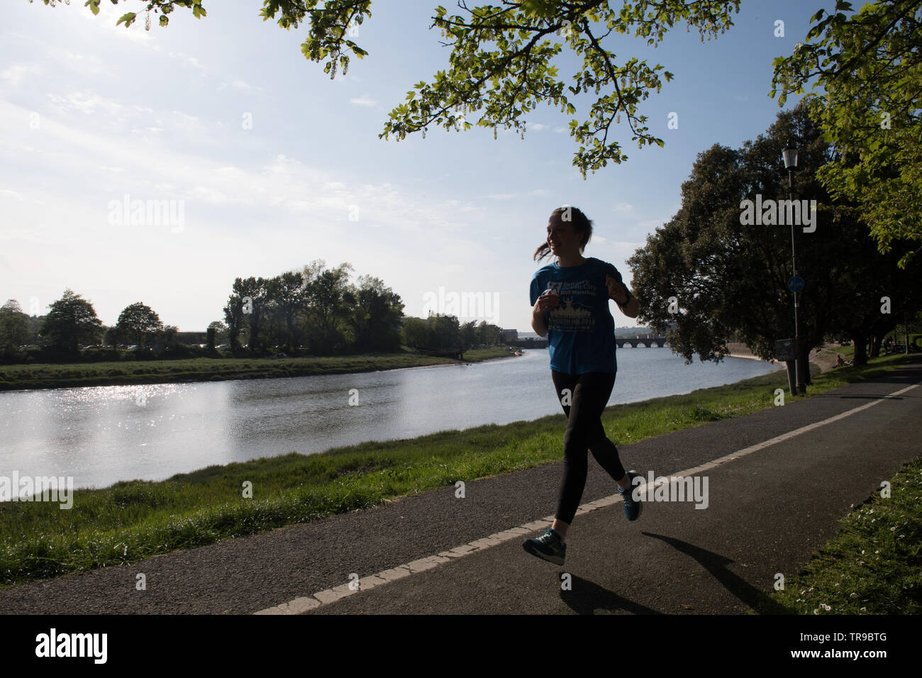 Radfahren und Laufen entlang des Flusses Taw Barnstaple Stockfoto