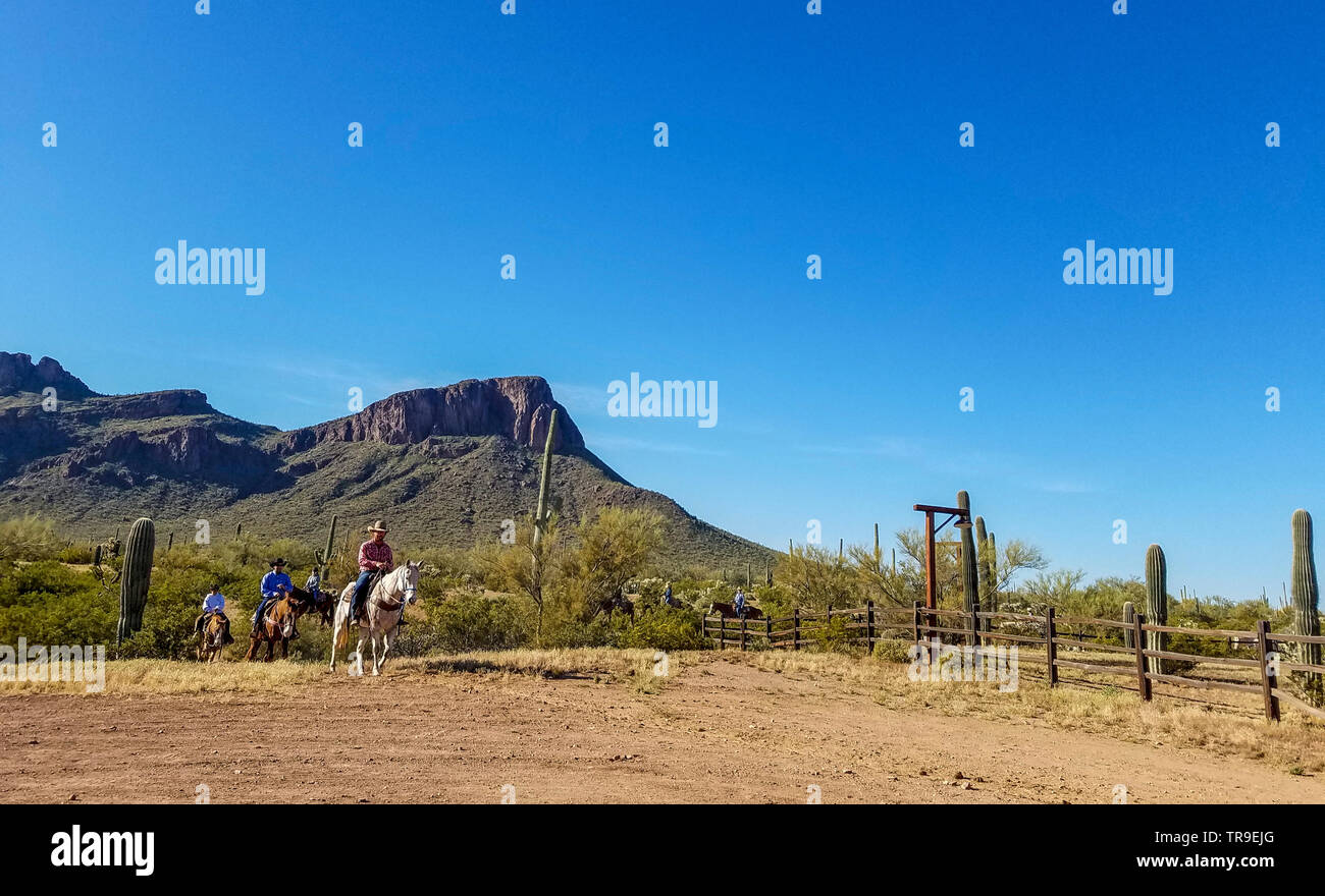 Gäste auf dem Rücken der Pferde kommen zum Frühstück im White Stallion Ranch, eine Dude Ranch außerhalb von Tucson, AZ. Stockfoto