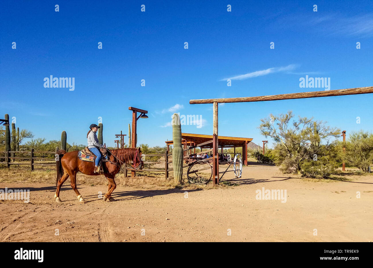 Gäste auf dem Rücken der Pferde kommen zum Frühstück im White Stallion Ranch, eine Dude Ranch außerhalb von Tucson, AZ. Stockfoto