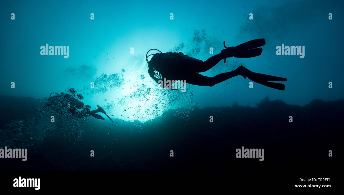 Taucher unterwasser, die Große Blue Hole, Belize Barrier Reef, Lighthouse Reef, Belize Stockfoto