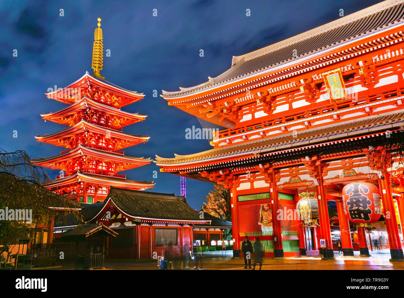 Ansicht der Senso-ji Tempel bei Nacht in Tokio. Stockfoto