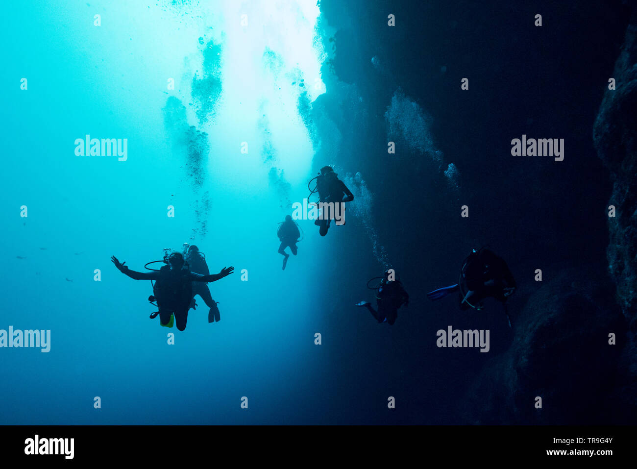 Taucher unterwasser, die Große Blue Hole, Belize Barrier Reef, Lighthouse Reef, Belize Stockfoto