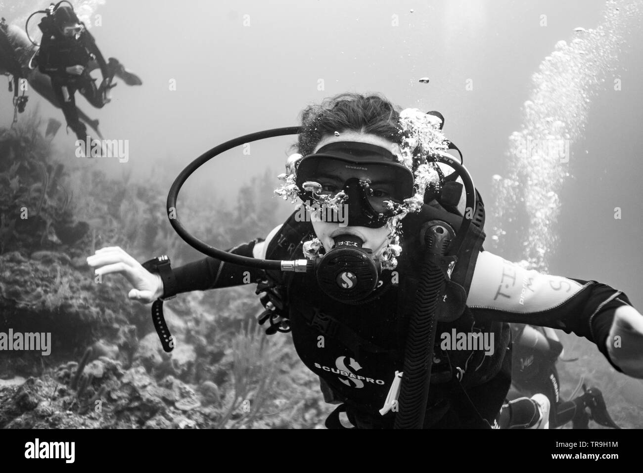 Close-up von Scuba Treiber unter Wasser, Belize Stockfoto