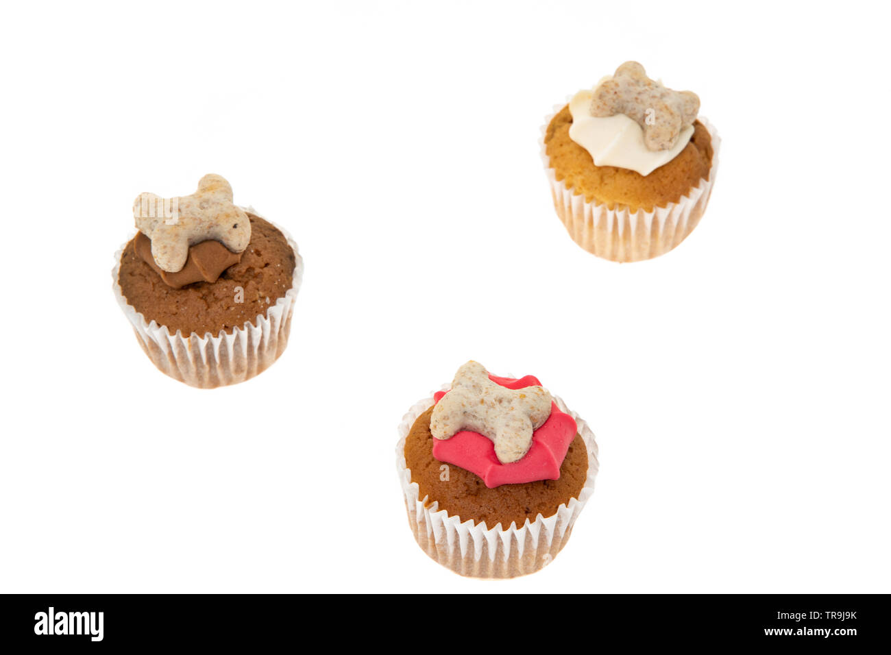 Cupcake Leckereien für Hunde - Weißer Hintergrund Stockfoto