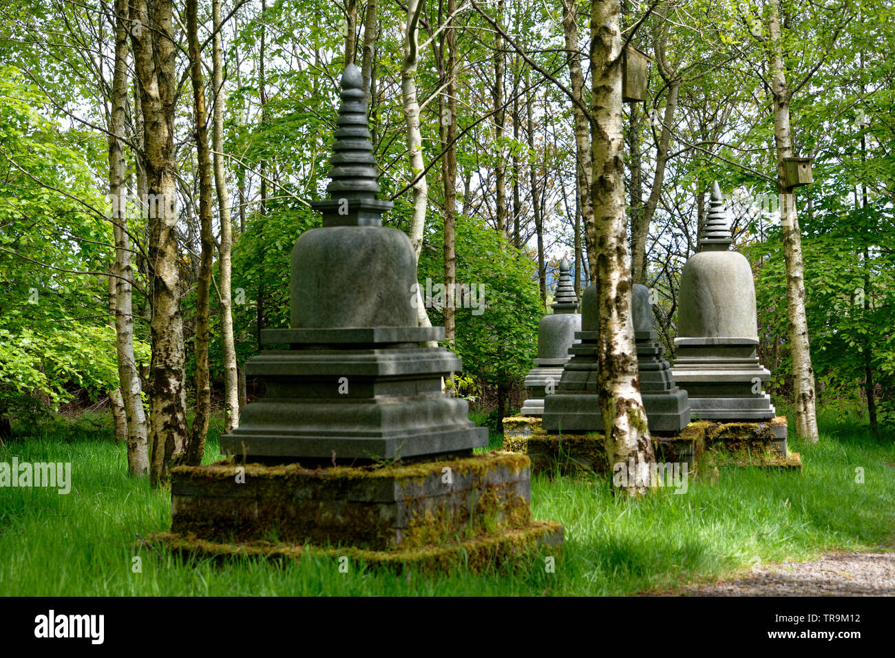 Die Buddhistischen STUPAS und der Stein mounds Mounds, die Sie um Sie sehen Stupas genannt werden. Stockfoto