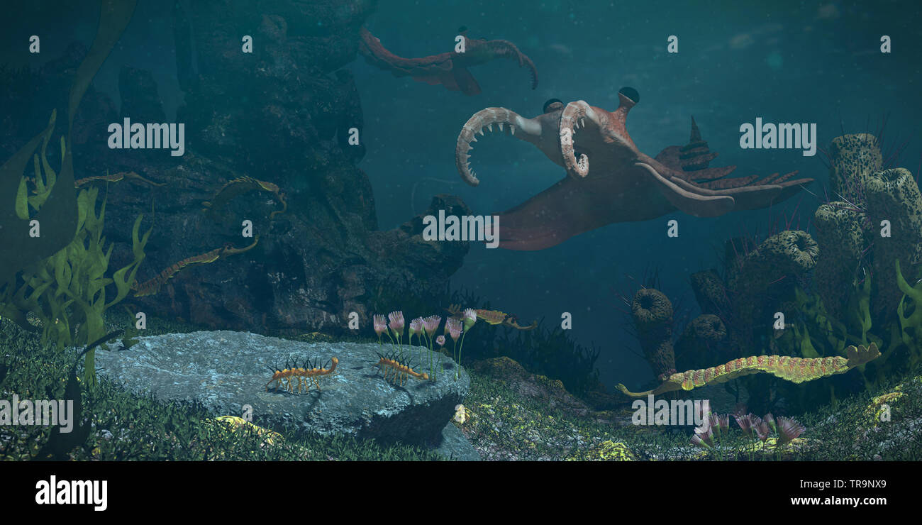 Cambrian explosion Fotos und Bildmaterial in hoher Auflösung Alamy