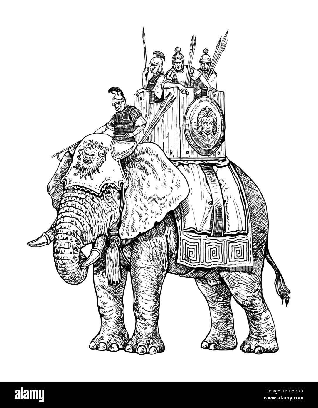 Kriegselefant Illustration, Armee von Karthago. Historische Zeichnung. Stockfoto