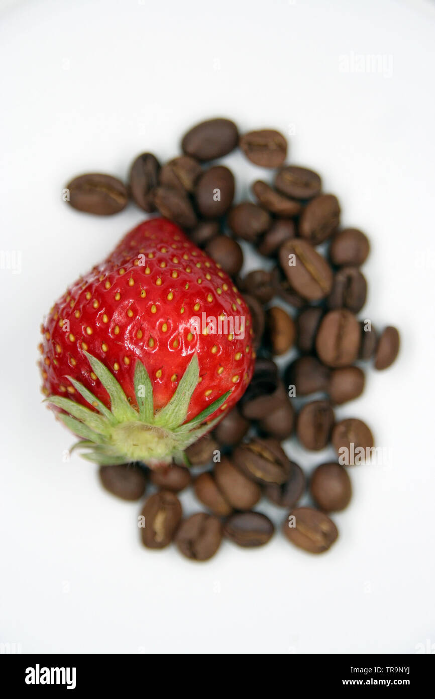 Erdbeere und Kaffeebohnen. Erdbeere auf Kaffeebohnen. Stockfoto