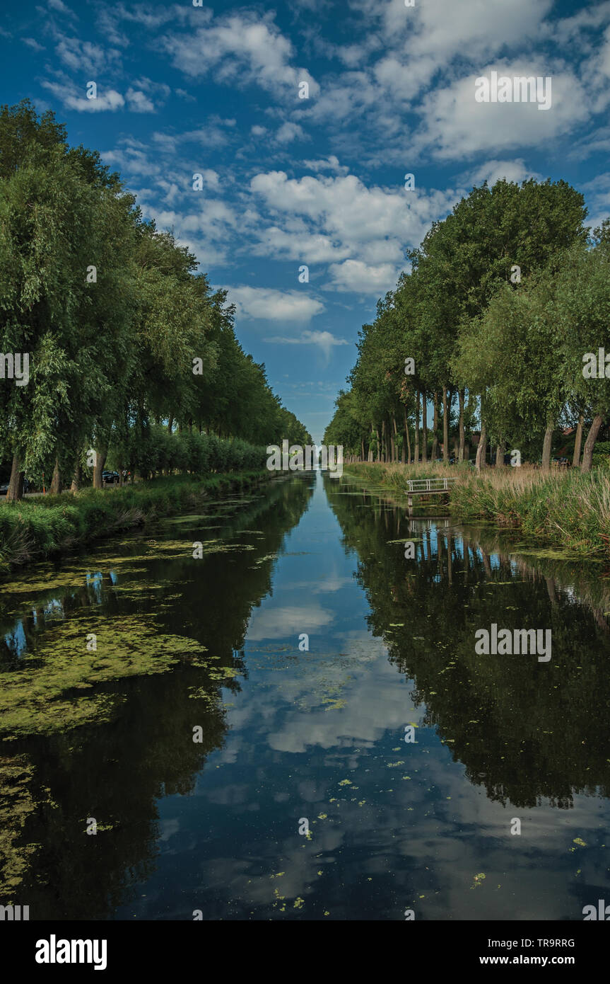 Büsche und Grove Canal mit Sky spiegelt sich auf Wasser bei Damme. Ein kleines und charmantes altes Dorf in Belgien Landschaft. Stockfoto