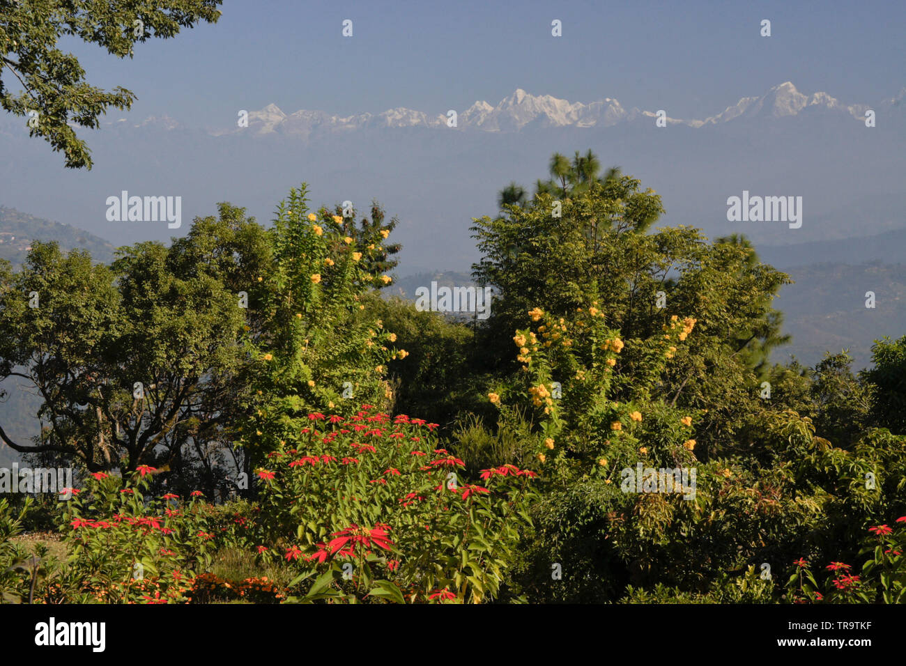 Ausläufern, Tälern und schneebedeckten Gipfel des Himalaya im morgendlichen Dunst, umgeben von tropischer Vegetation umrahmt und von Dhulikhel, Nepal gesehen Stockfoto