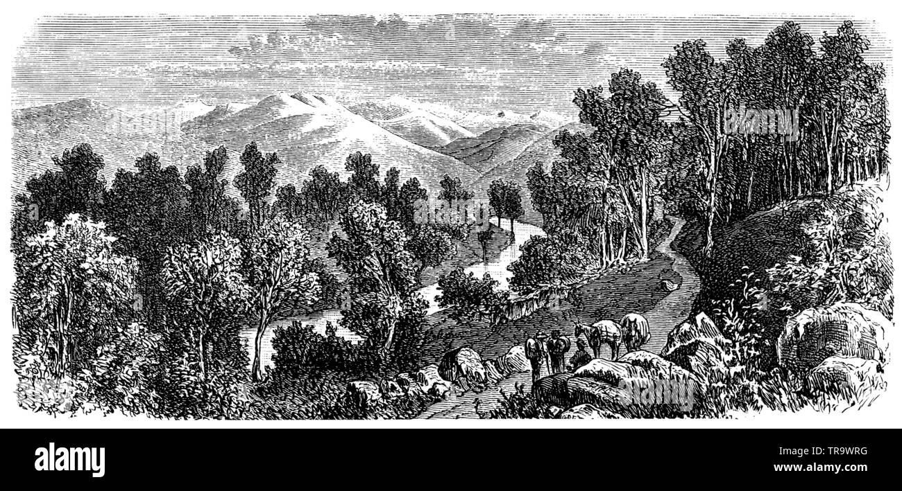 Mount Hotham (Victoria), Australien,, (Enzyklopädie, 1893) Stockfoto