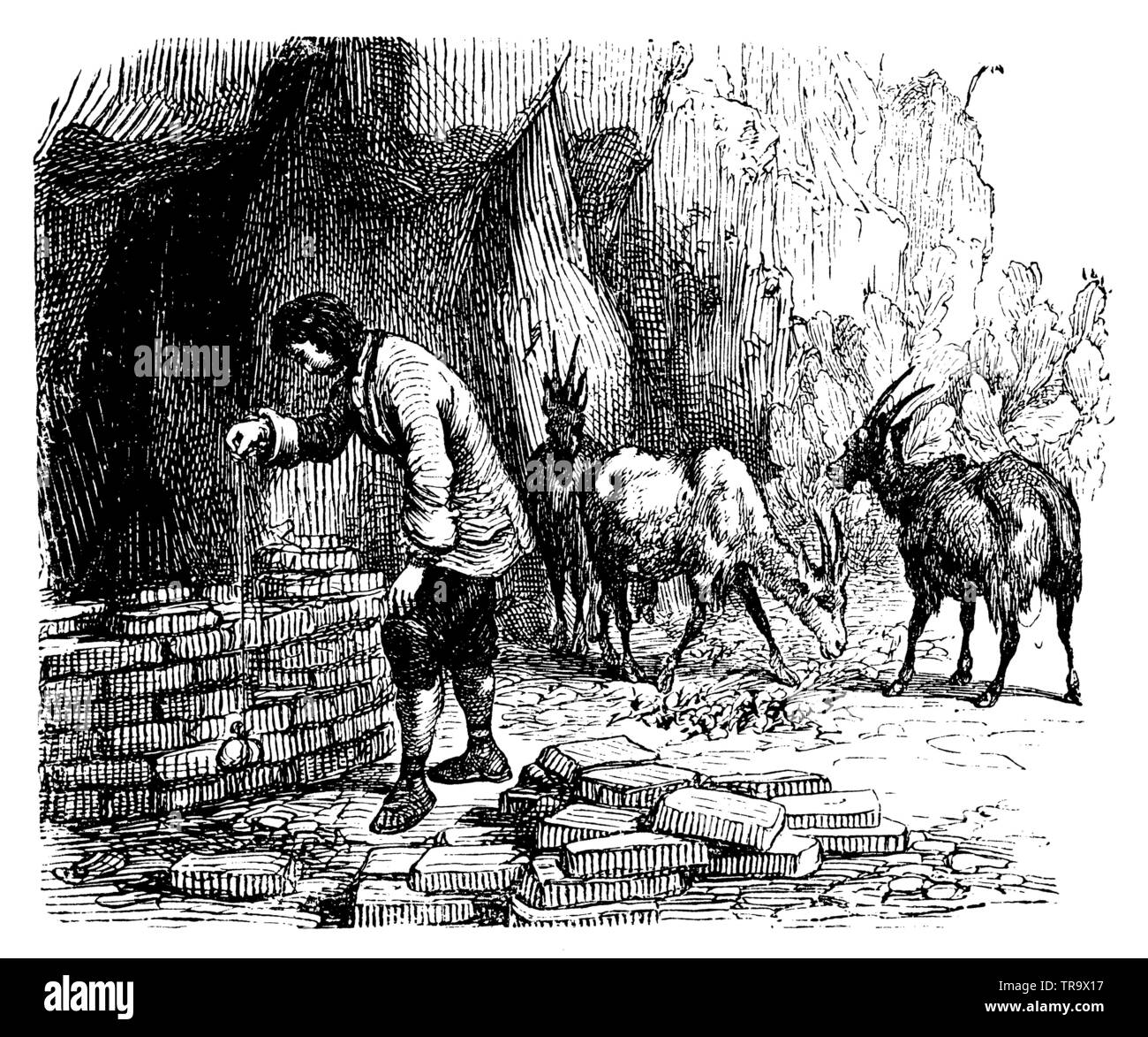 Robinson Crusoe Gebäude einen Herd,, (Roman, 1897) Stockfoto