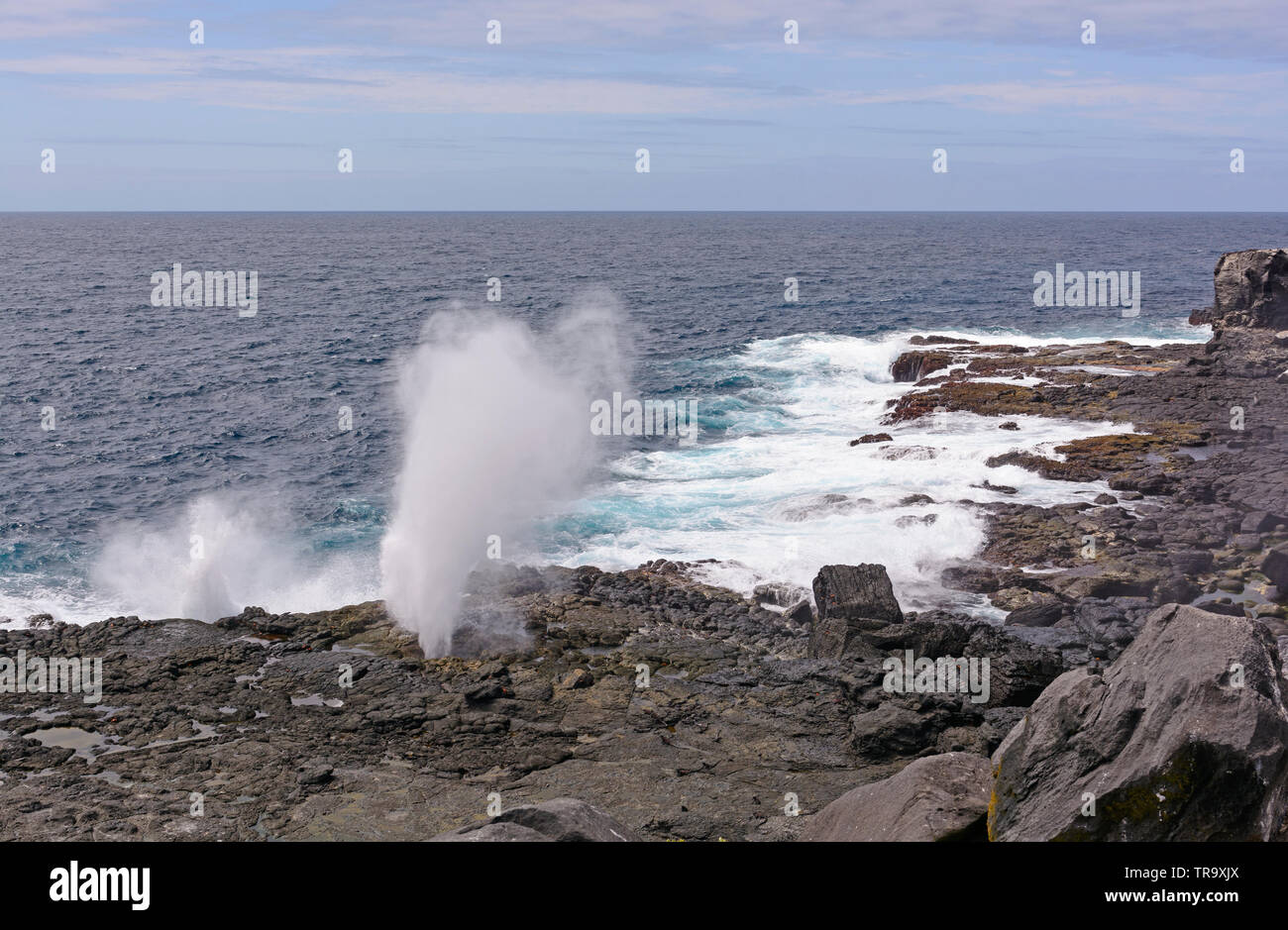 Blowhole an der zerklüfteten Küste von Espanola Insel auf Galapagos Stockfoto