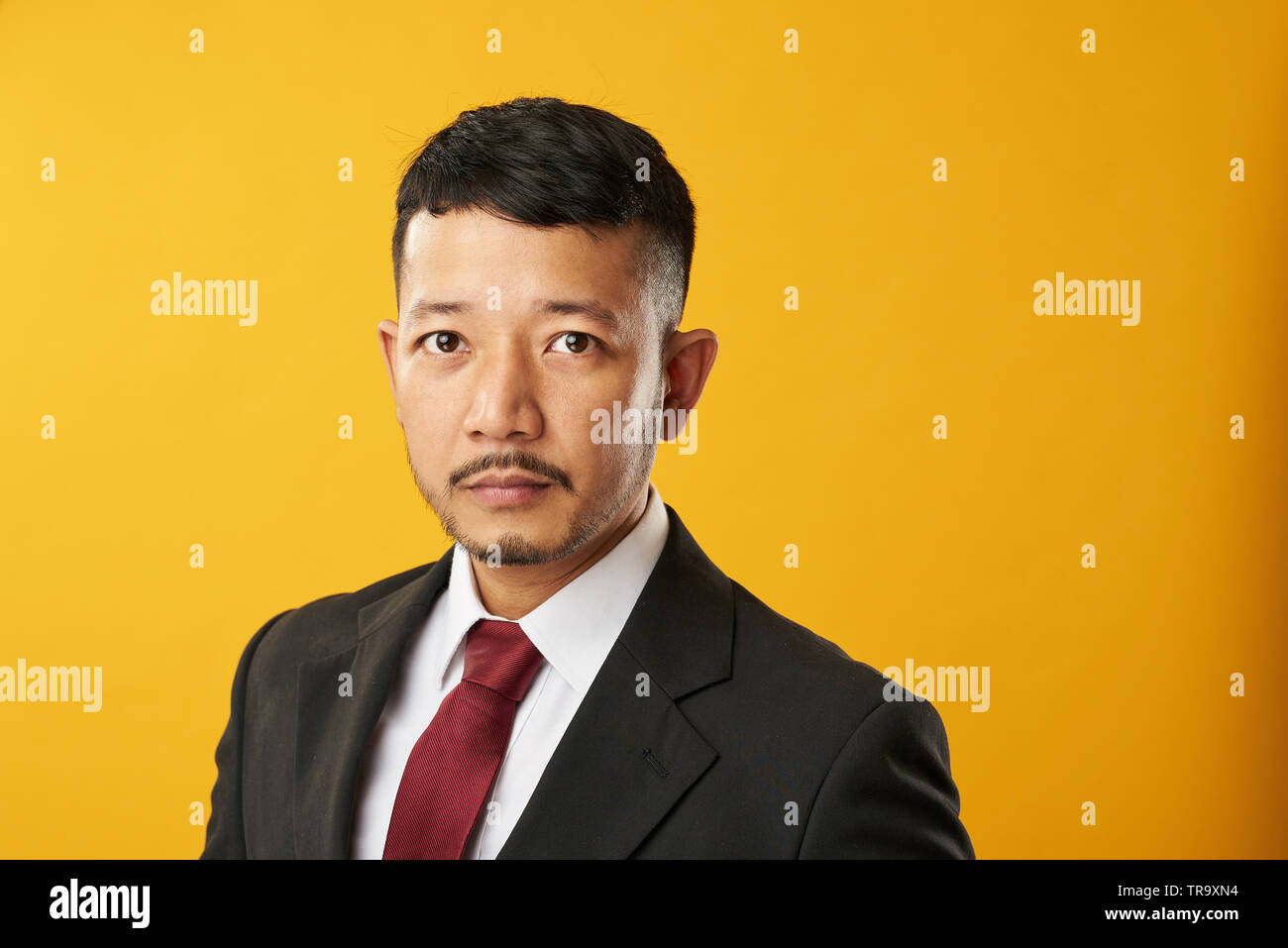 Headshot von professionellen asiatischer Mann mit attraktiven Look Stockfoto