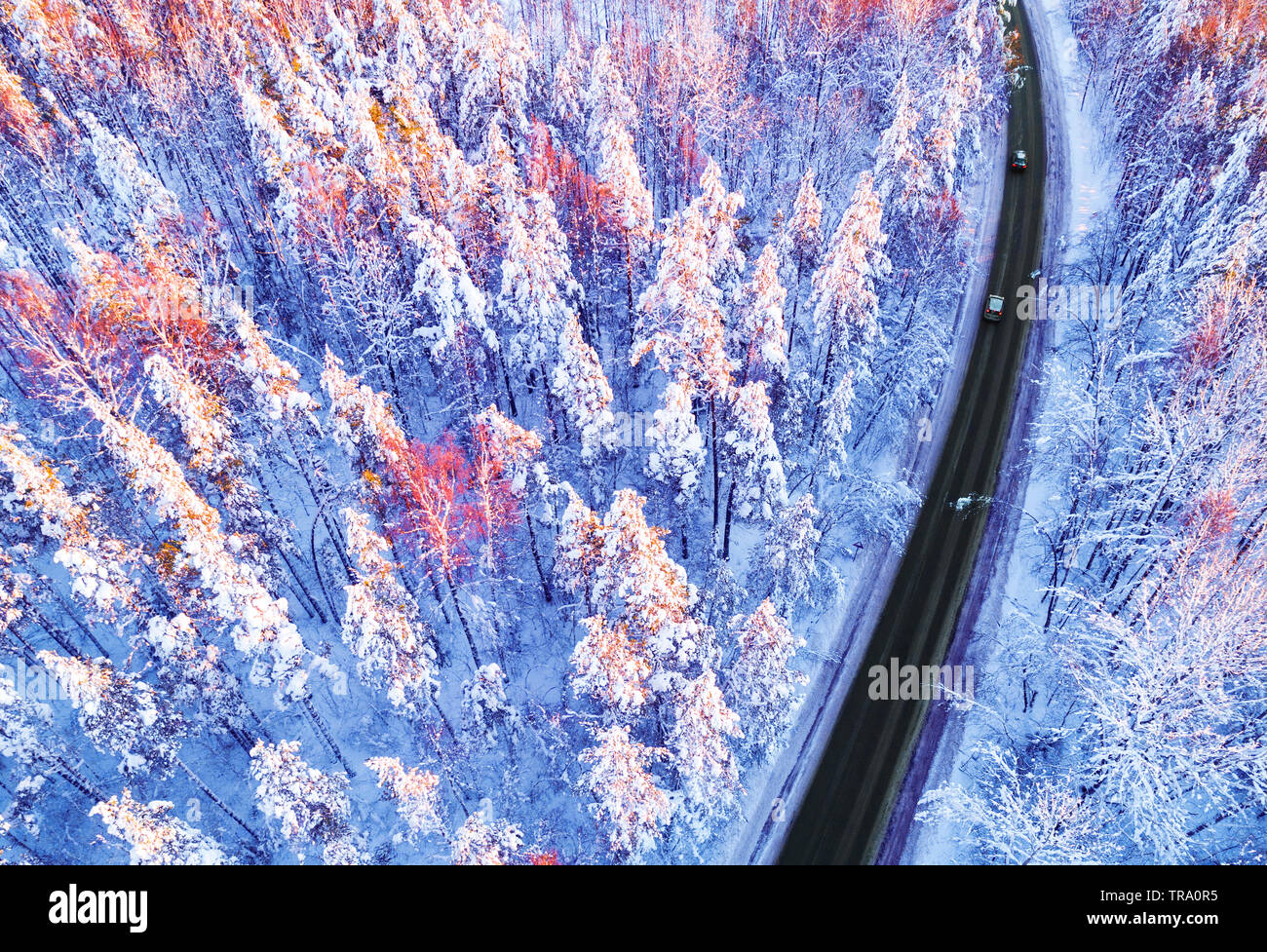 Luftaufnahme von einem Auto auf Winter Straße in den Wald. Winter Landschaft Landschaft. Luftaufnahmen von verschneiten Wald mit einem Auto auf der Straße. Erfasst f Stockfoto