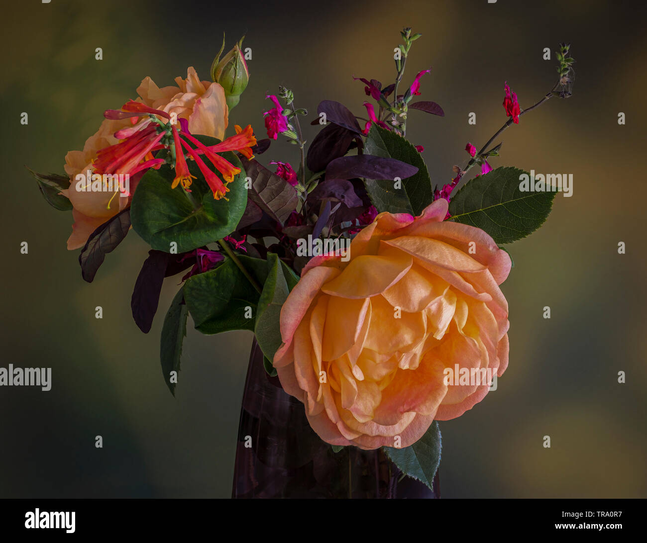 Frühling Blumen in einer Vase. Stockfoto