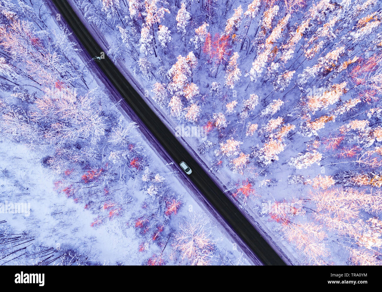 Luftaufnahme von einem Auto auf Winter Straße in den Wald. Winter Landschaft Landschaft. Luftaufnahmen von verschneiten Wald mit einem Auto auf der Straße. Erfasst f Stockfoto