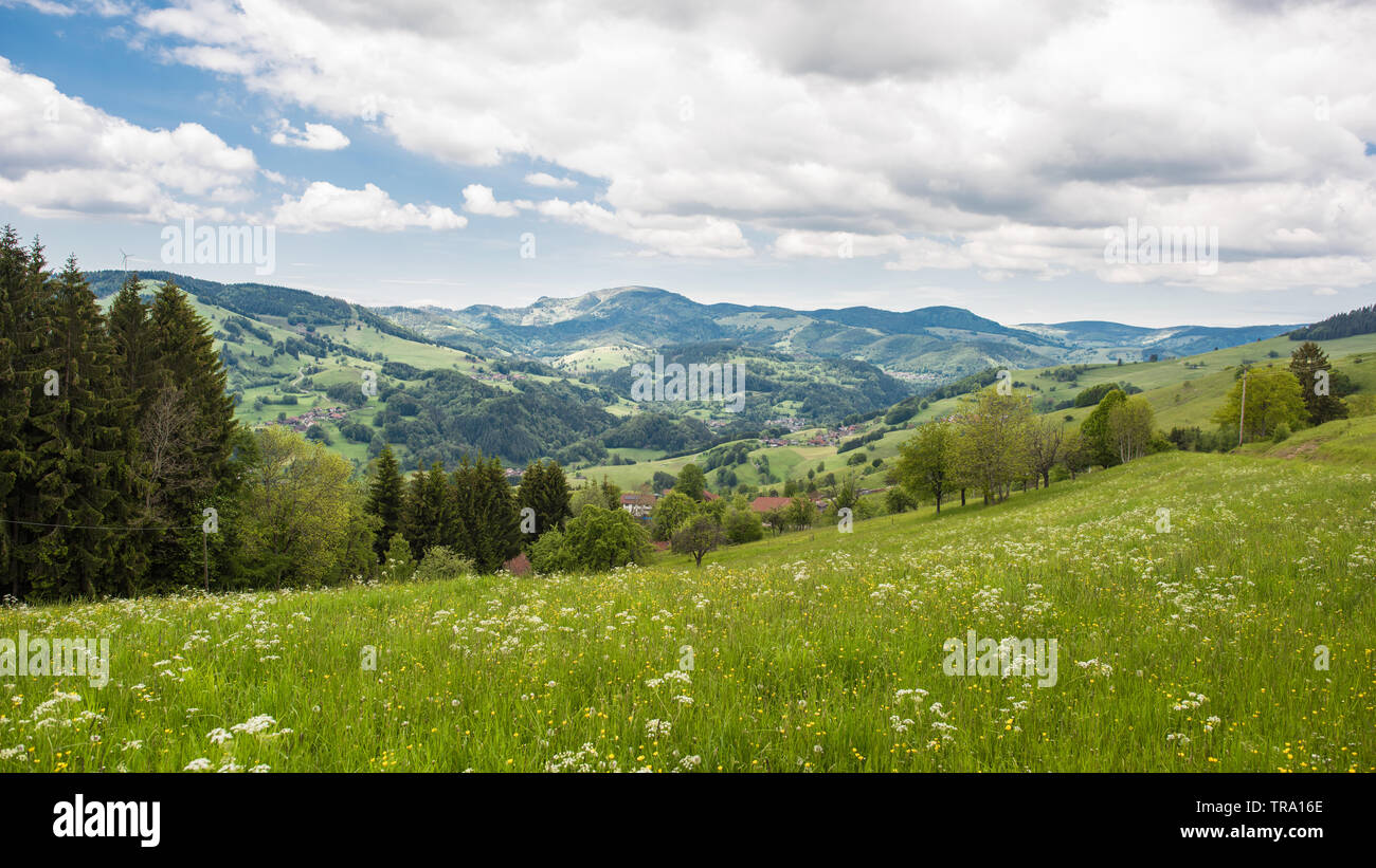 Natur Landschaft Schwarzwald Deutschland Stockfoto