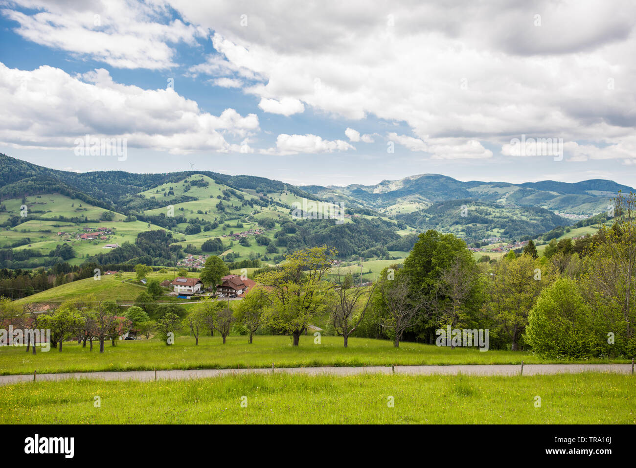 Natur Landschaft Schwarzwald Deutschland Stockfoto