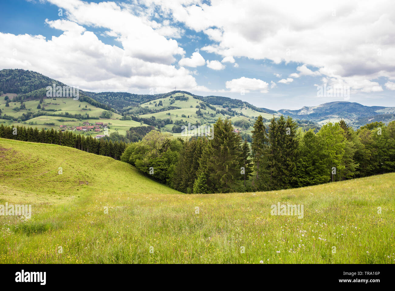 Natur Landschaft Schwarzwald Deutschland Stockfoto