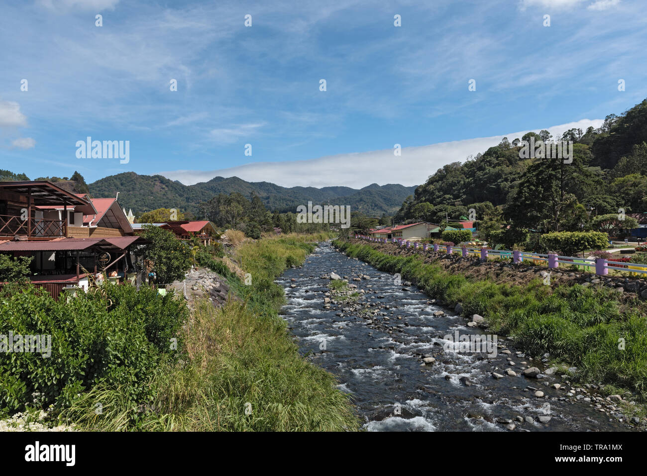 Auf der Bank der Caldera Bach in boqete ist der Sitz der Blume und Kaffee fair Panama Stockfoto