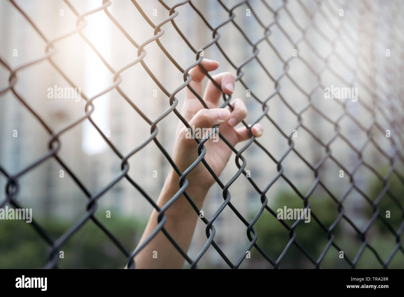 Deprimiert, Mühe und Lösung. Frauen Hand auf chain-link Fence. Stockfoto