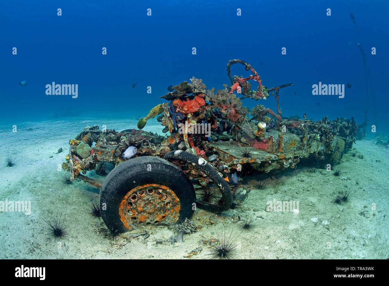 Versunkene Jeep (Jeepney) auf Malapascua Island, Cebu, Philippinen Stockfoto