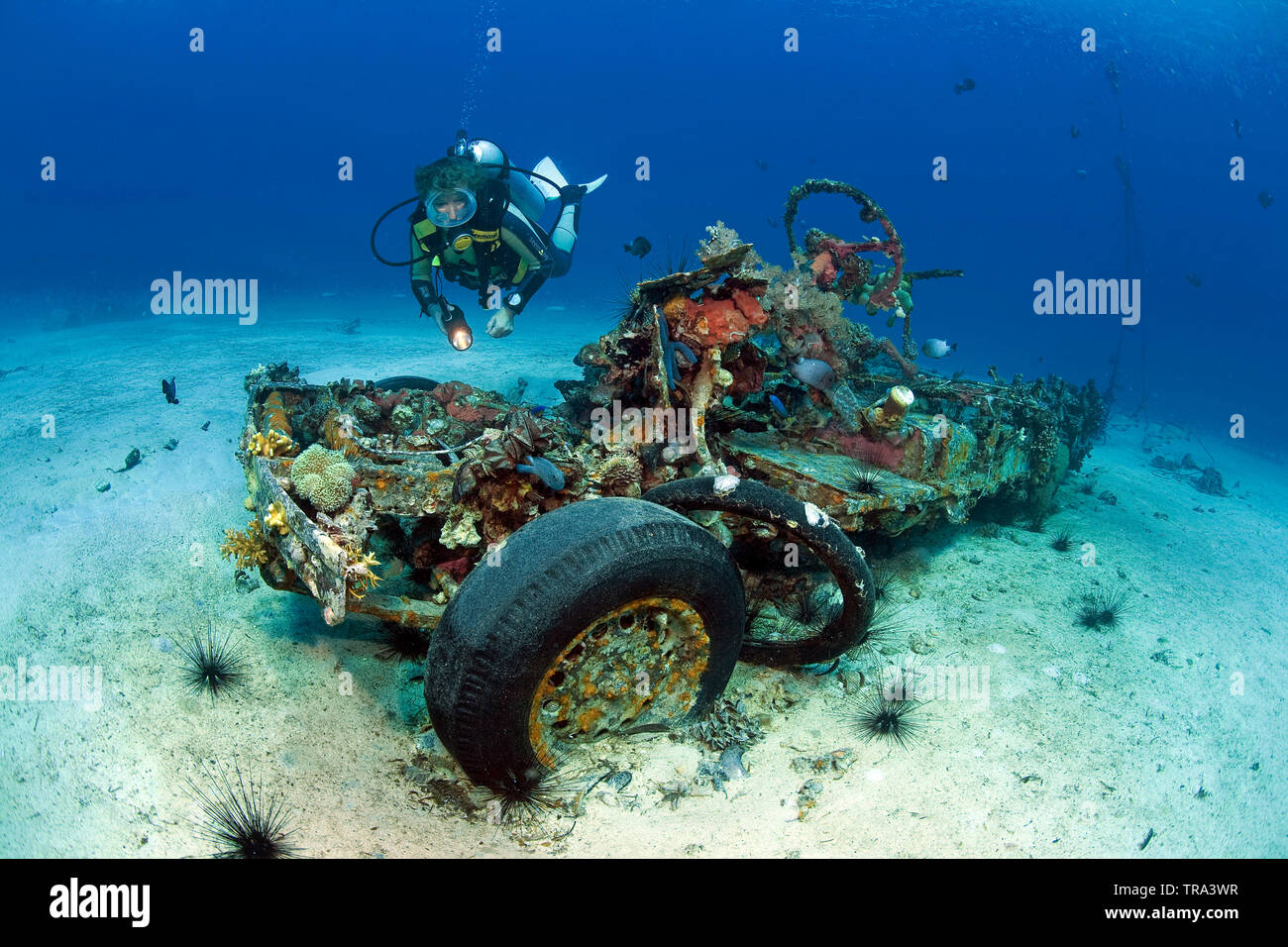 Scuba Diver in einem versunkenen Jeep (Jeepney), Malapascua, Cebu, Philippinen Stockfoto