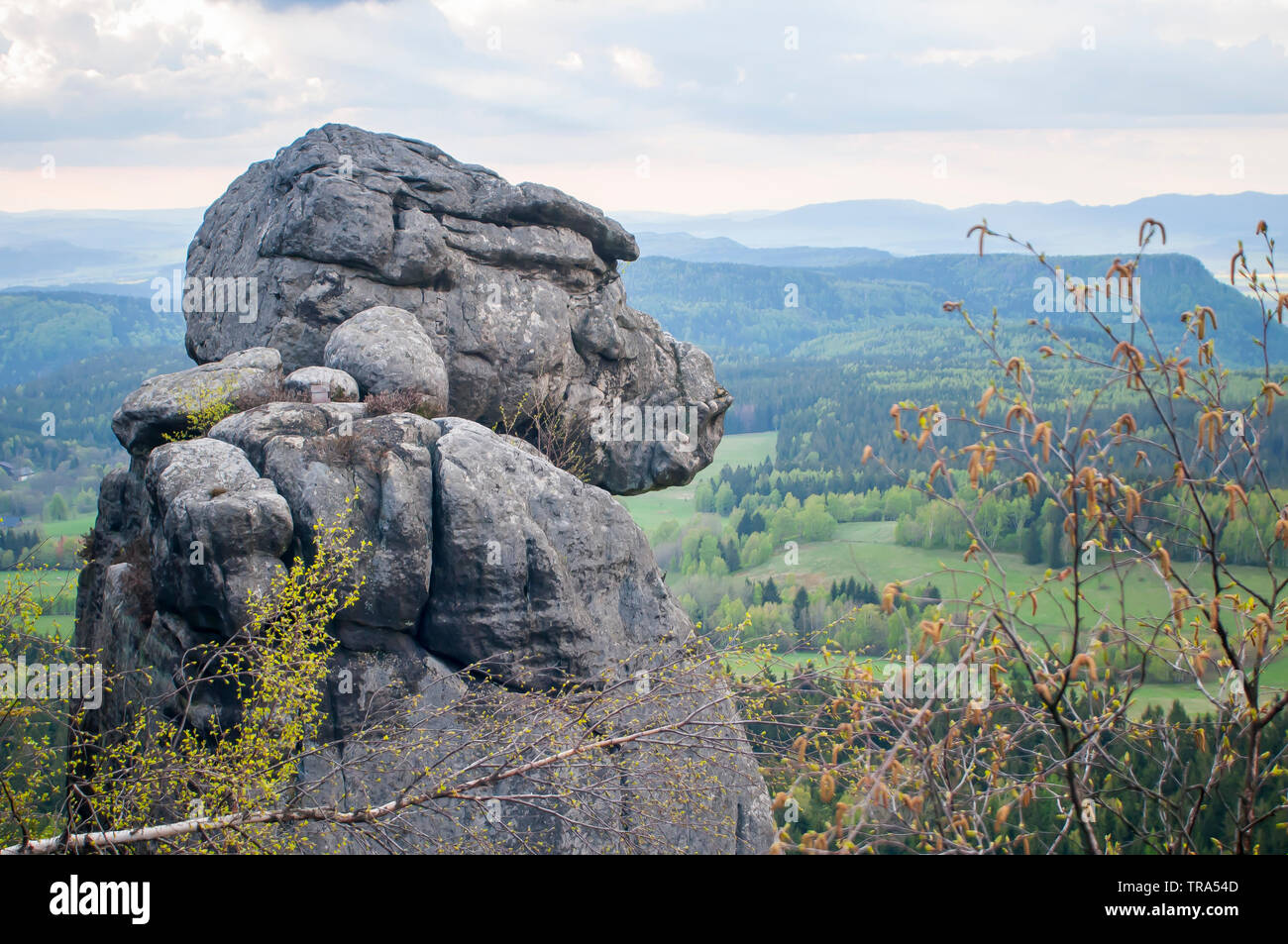 'Monkey' rock Tafelberge, die stołowe Bergen in Polen, in Sudeten, Stołowe Mountains National Park Stockfoto