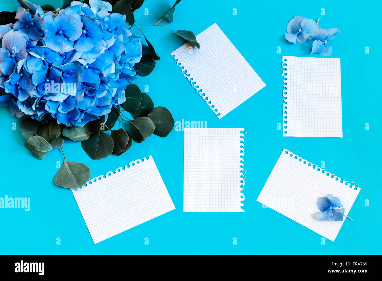 Blumenstrauß Blaue Hortensie auf einem blauen Hintergrund mit weißen getrennt Seiten, kopieren. Stockfoto