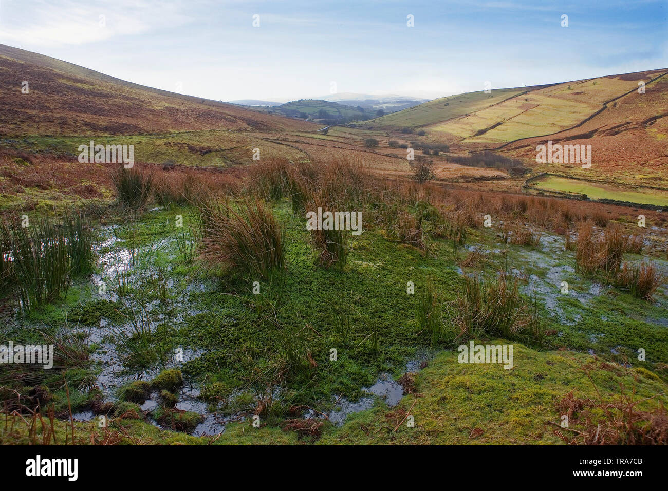 Der Westen Webburn River Valley von Hookney, Dartmoor, Devon: Des sumpfigen Grimmige See im Vordergrund. Stockfoto