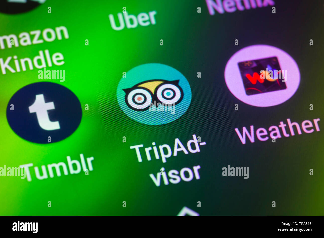 Trip Advisor logo Symbol auf Mobiltelefon Stockfoto