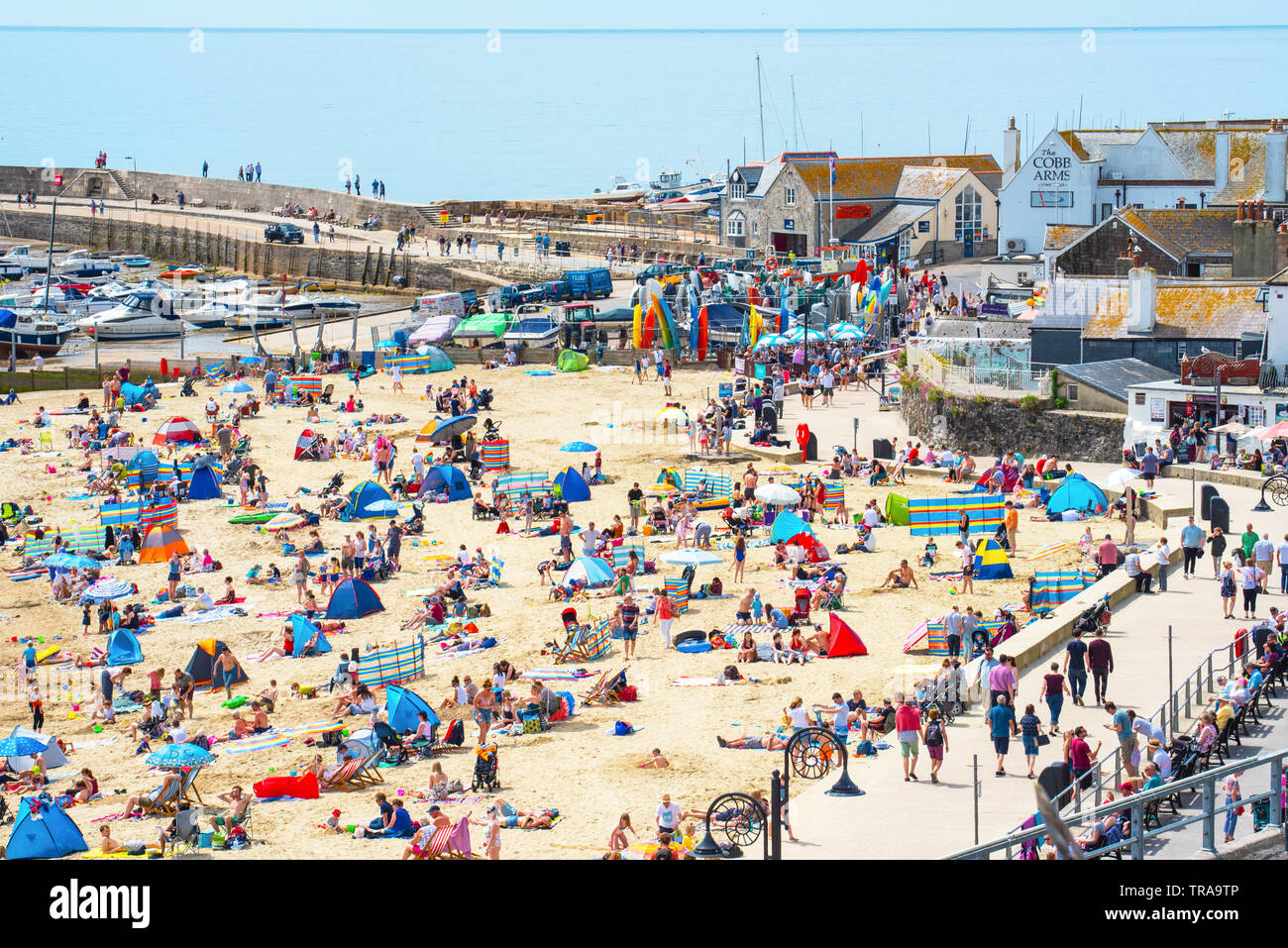 Lyme Regis, Dorset, Großbritannien. 1. Juni 2019. UK Wetter: Der Badeort Lyme Regis swelters in glühend heiße Sonne auf den ersten Tag der meteorologische Sommer. Massen von Touristen und Besucher in Scharen zu dem malerischen Strand in der Sonne zu aalen als Küstenstadt am heißesten Tag des Jahres so weit brutzelt. Credit: Celia McMahon/Alamy Leben Nachrichten. Stockfoto