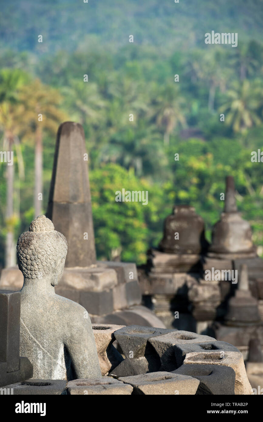 Statue von Buddha mit Stupas und Laub, Borobudur, Indonesien Stockfoto