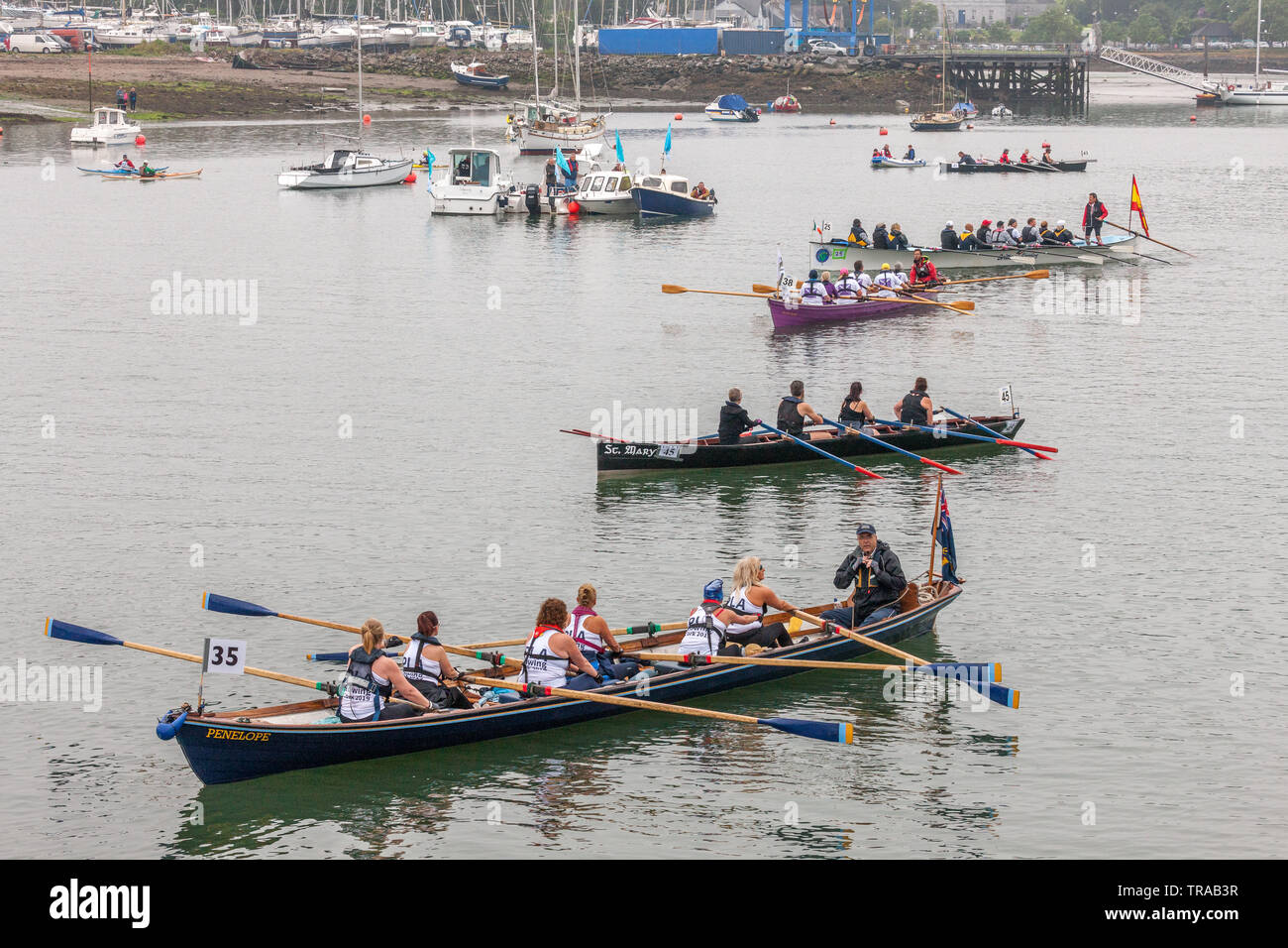 Curabinny, Cork, Irland. 1. Juni 2019. Mannschaften beginnen, am Start für den Ozean zu Stadt Rennen, das Teil des Cork Harbour Festival in der Curabinny, Co Cork, Irland. Quelle: David Creedon/Alamy leben Nachrichten Stockfoto