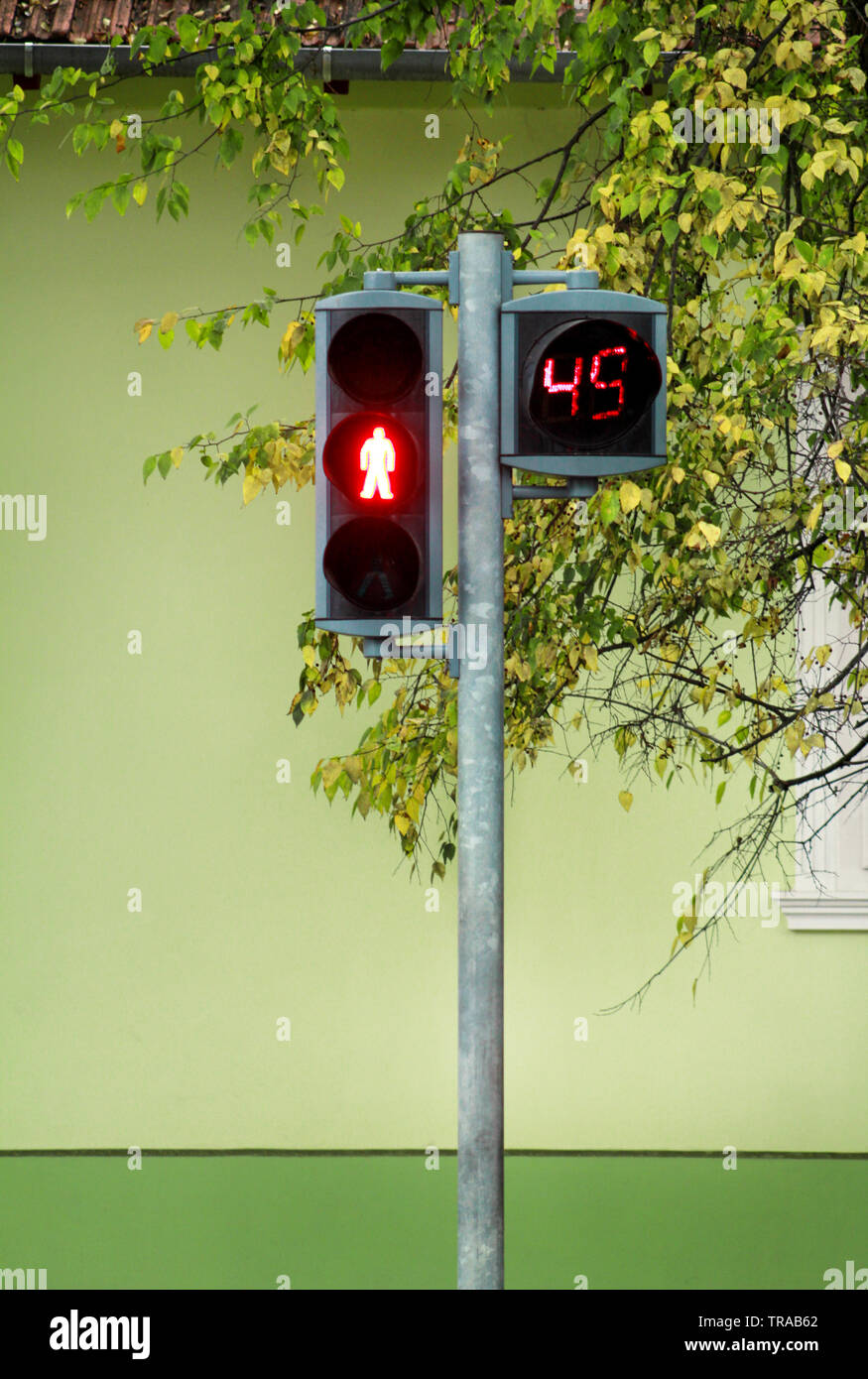 FOGUO Ampel, rotes/grünes Stop-and-Go-Licht, Warnlicht für Dock