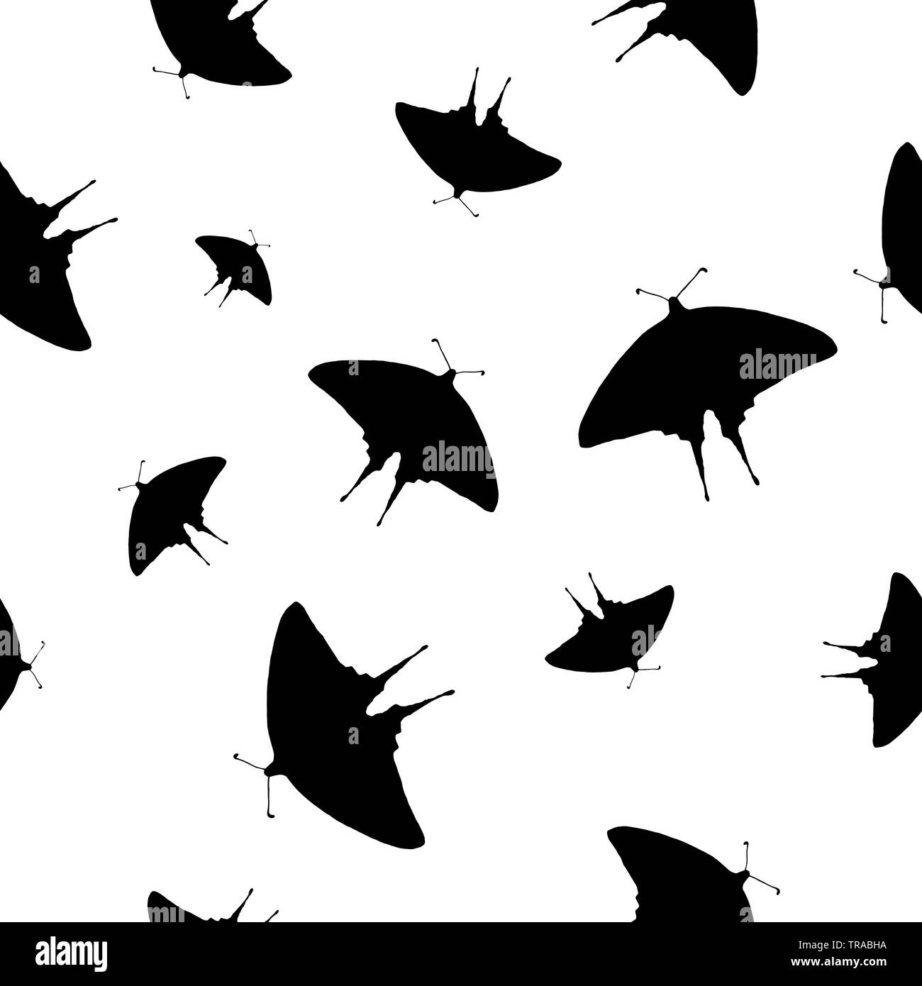 Nahtlose Muster schwarz Schmetterlinge Silhouetten auf weißem Hintergrund. Segelfalter Schmetterling fliegen Drucken für Gewebe Textilien, Tapeten Stockfoto