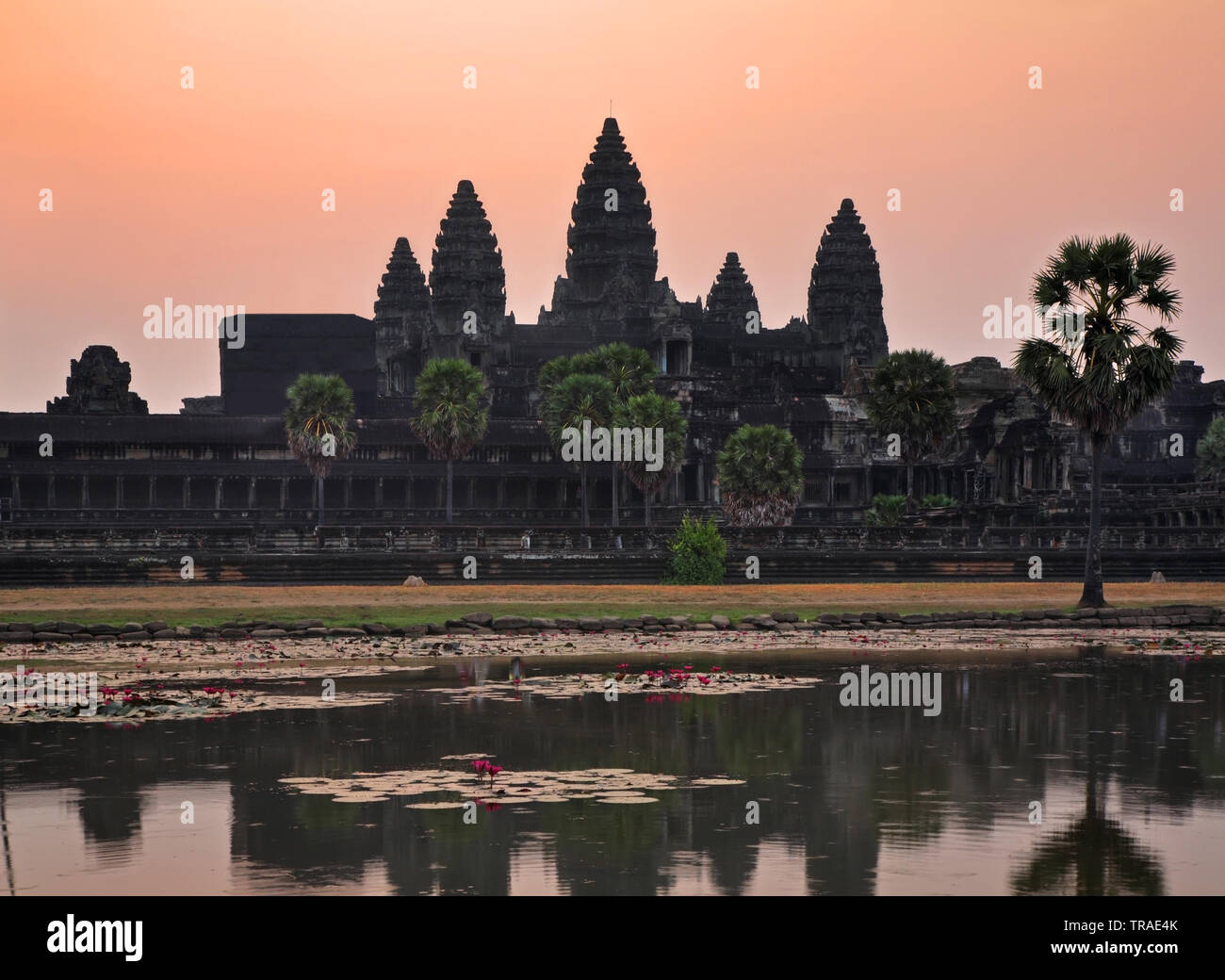- Hauptstadt Angkor Wat Tempel. Provinz Siem Reap. Kambodscha Stockfoto