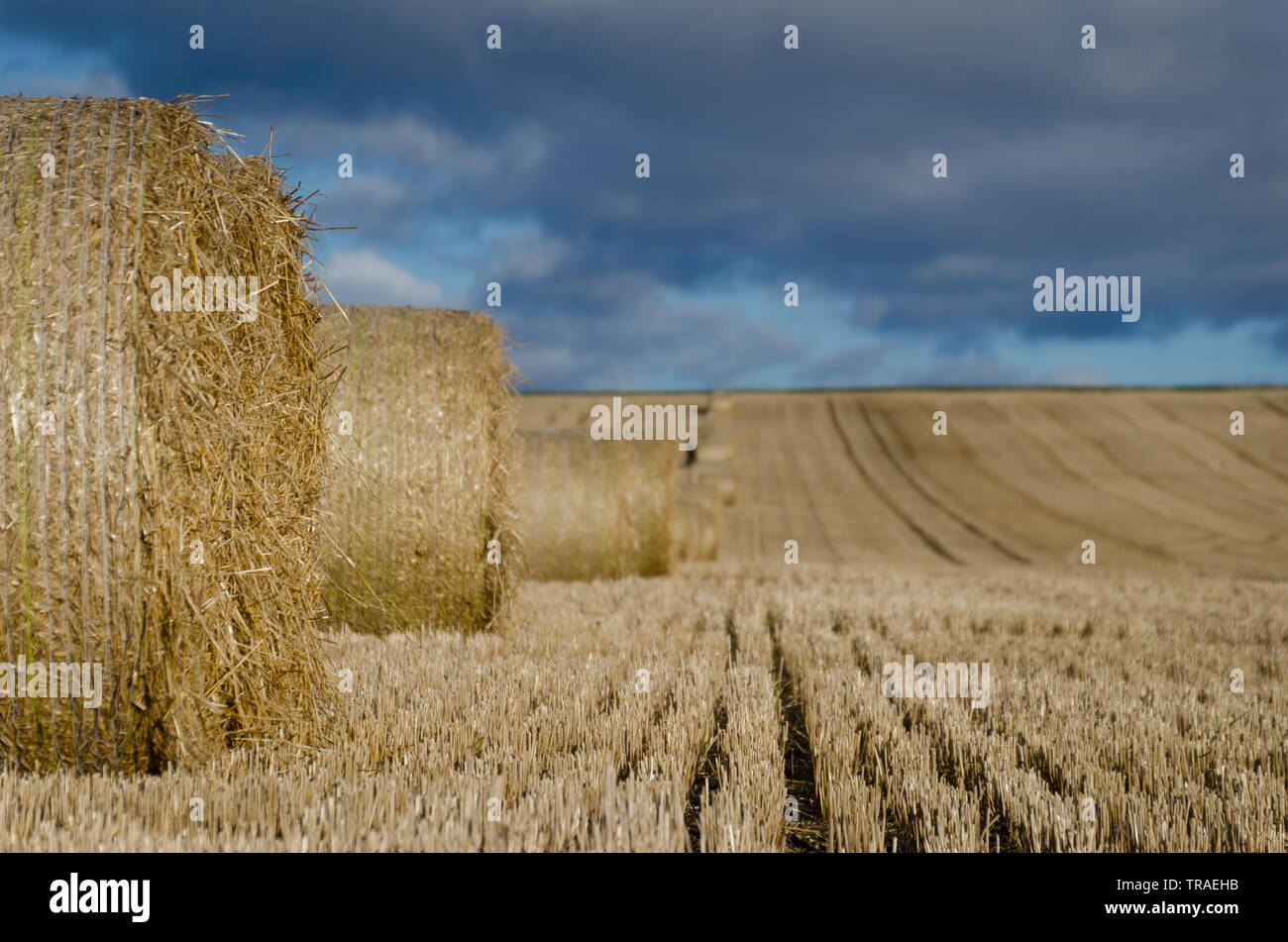 Herbst Heu Querhölzer in der Schottischen Country Side Stockfoto