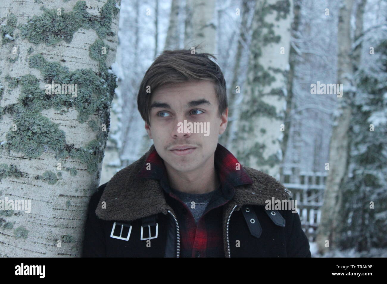 Hübscher junger Mann in eine finnische Birke Wald Stockfoto