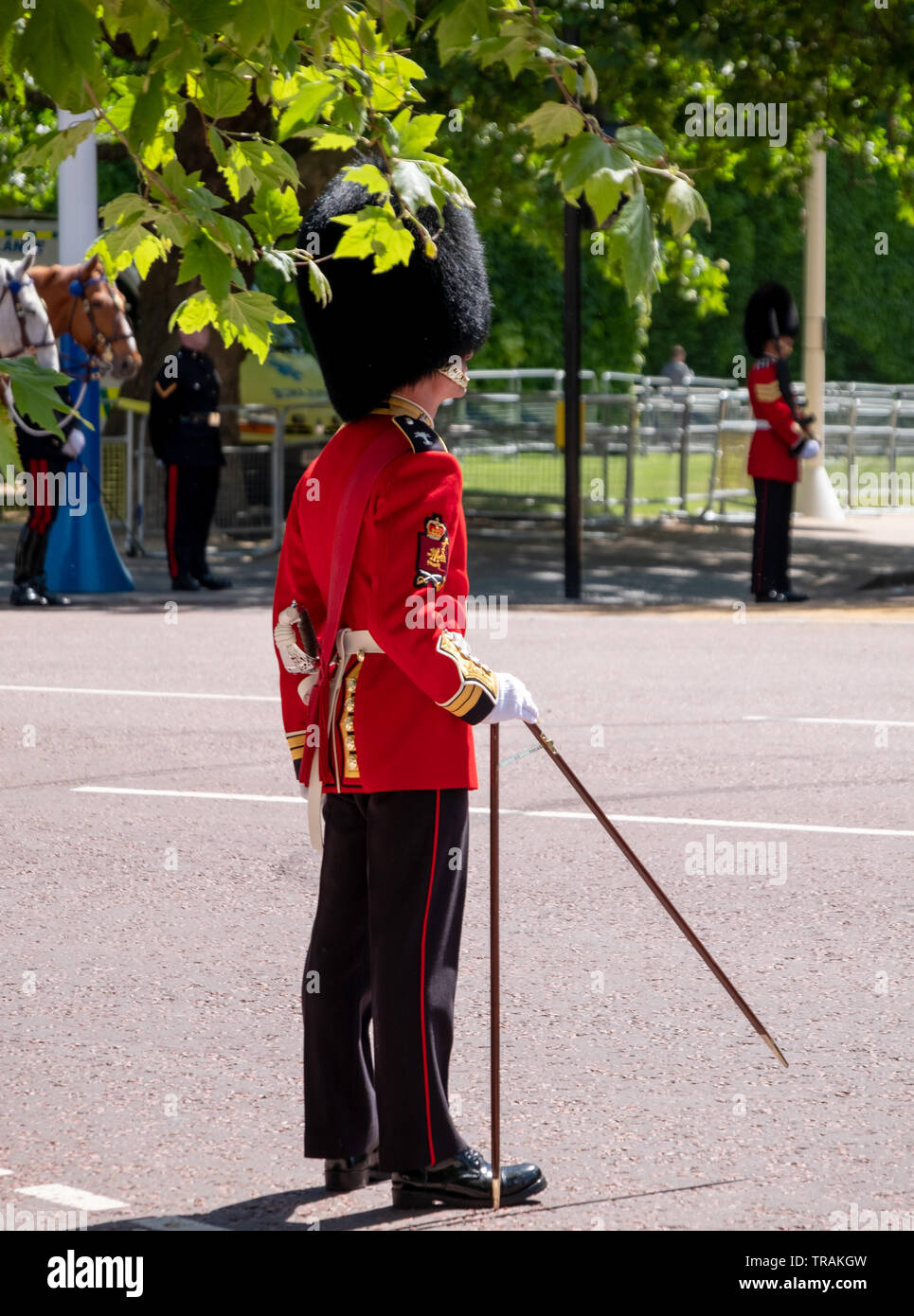 Royal Guard in roten und schwarzen Uniform und Bärenfellmütze hat steht mit Bremssätteln während der jährlichen die Farbe militärische Parade, London UK Stockfoto