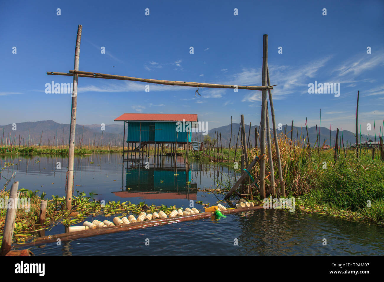 Floating Gemüsegärten, Inle Lake, Myanmar Stockfoto