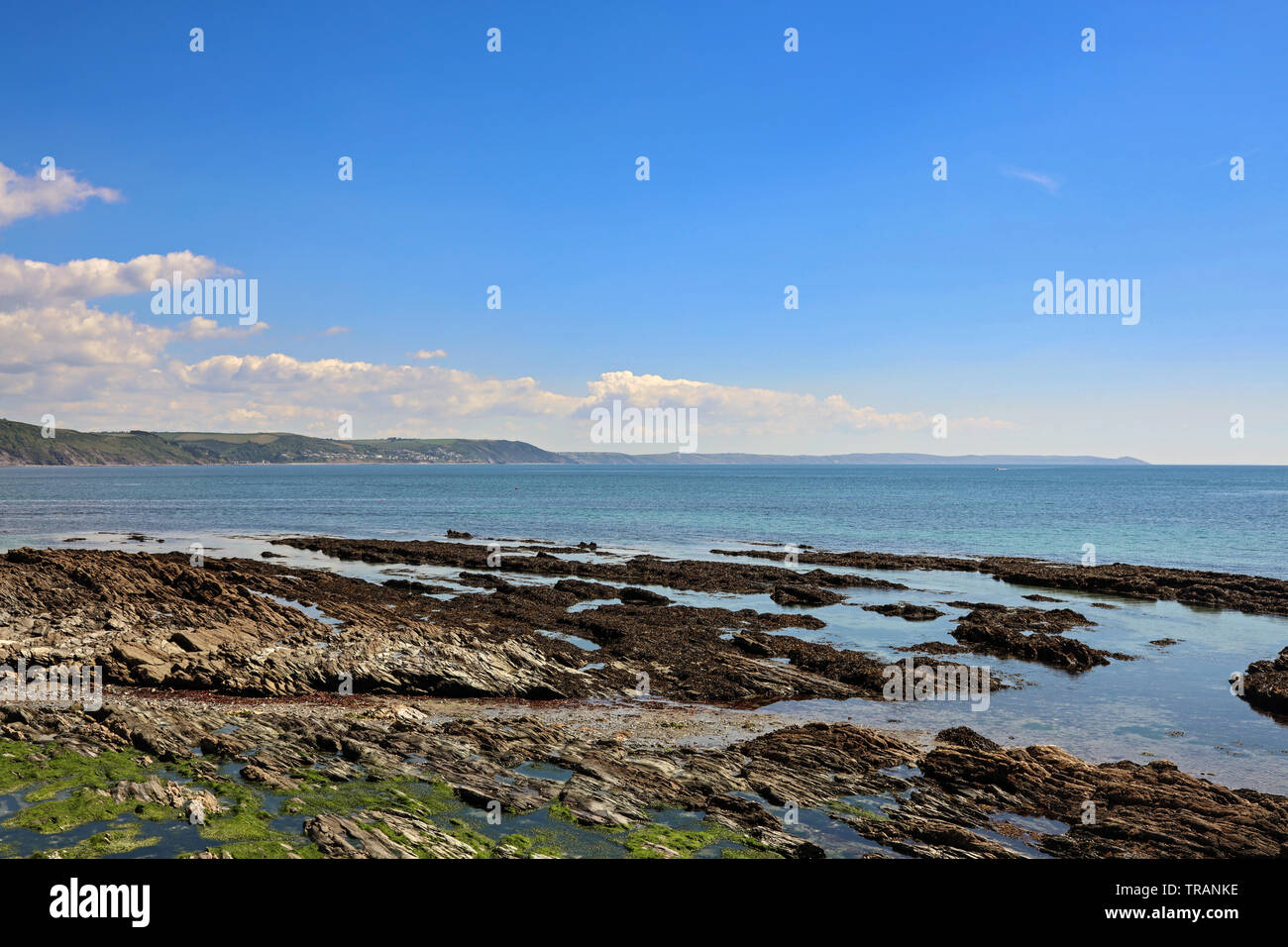 Whitsand Bay mit Rame Head in der Entfernung vom Hanafore Point in West Looe, Cornwall Stockfoto