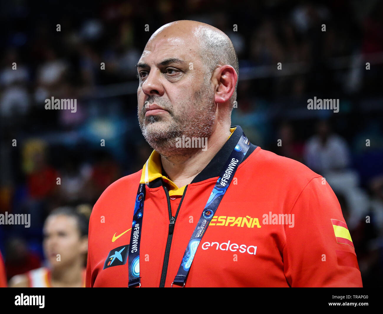 Spanien, Teneriffa - September 29, 2018: Spanisch Haupttrainer, Mondelo Lucas, während Basketball Spiel Spanien gegen Australien. Stockfoto