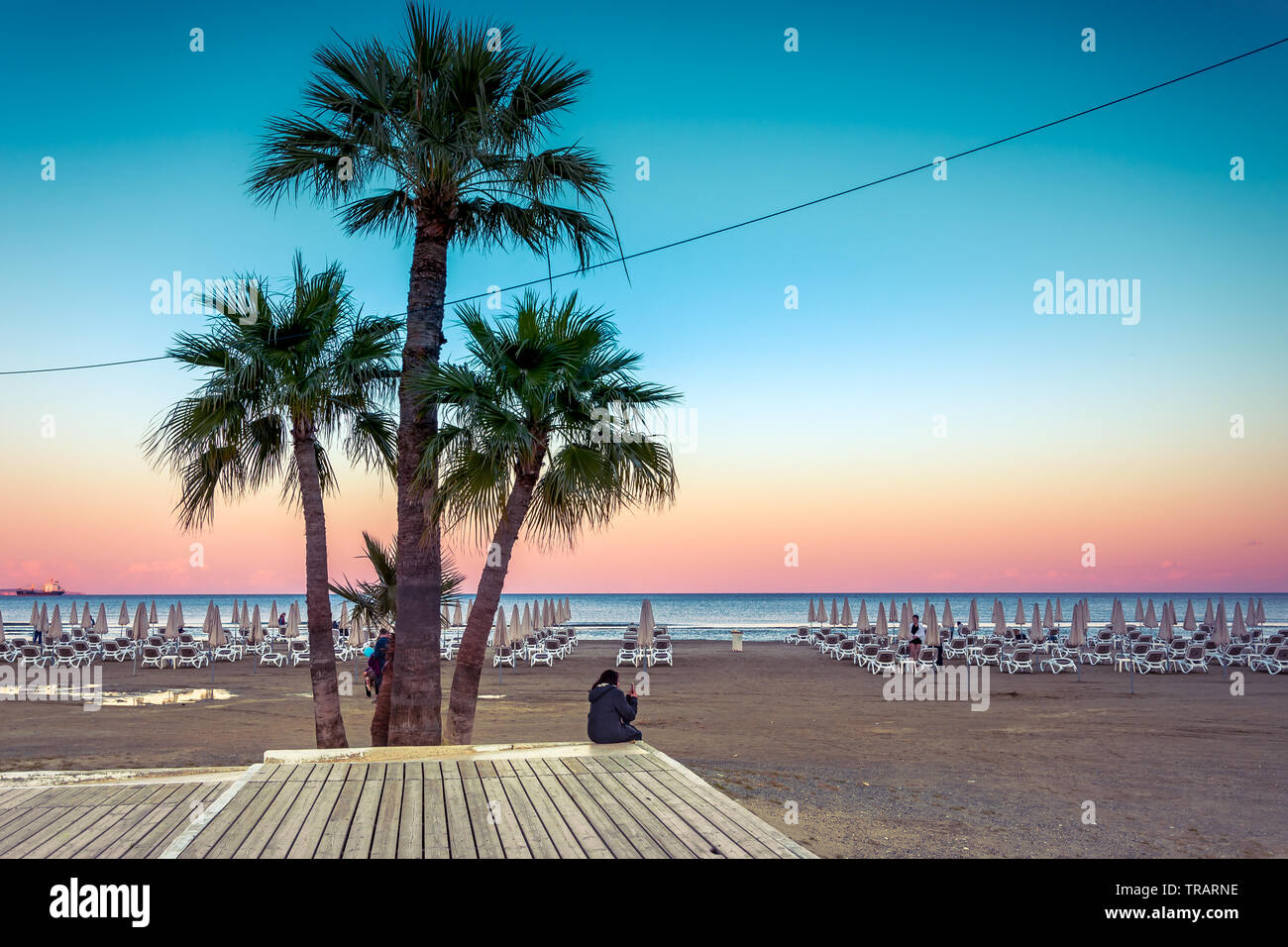 Palmen und Liegestühle am Sandstrand von Larnaca, Zypern Stockfoto