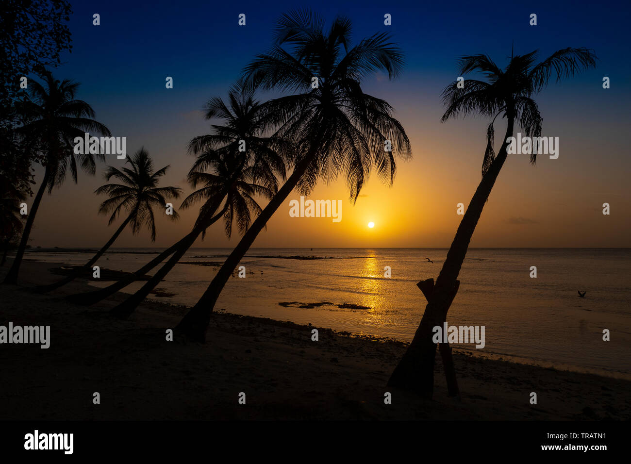 Tropischen Sonnenuntergang über der karibischen Insel Mustique. Intensive Farben Stockfoto