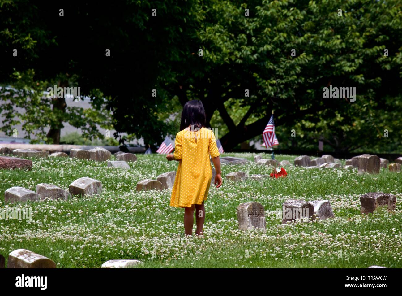Plymouth Meeting, PA, USA - Juni 1, 2019: Ein junges Mädchen in gelber Kleidung nimmt Blumen zwischen den Gräbern in einem Quaker Friedhof. Stockfoto